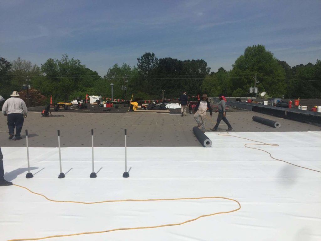 flat roof coatings